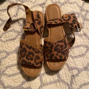 cheetah platforms